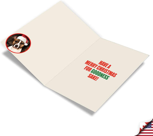 Pack 36 (1 36 C1144XSG-B36 NobleWorks Bulk of Humorous Merry Christmas Greeting Cards w/Envelopes, Boxed Funny Holiday