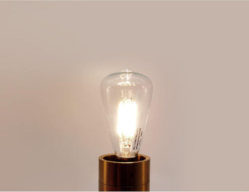 Dream Lighting LED Edison Bulb, 3W, 150 Lumens, Neutral White 3500K, Vintage Replace Globe, Pack of 2