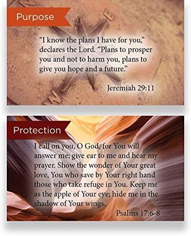 Logos Trading Post Pass Along Scripture Card Variety Pack, 12 Hand Picked Designs, 5 of Each Design, Pack of 60