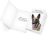 Prime Greetings Funny Dog Birthday Card with German Shepherd, Eco-Friendly Thick Card Stock, 5in x 7.75in