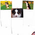 The Best Card Company - 10 Adorable Blank Dog Cards, Assorted Pet Breeds, Boxed Set, 4 x 5.12 Inch, Awesome Australian