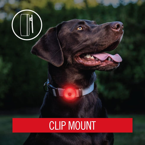 Coast SL1R USB Rechargeable Safety Clip Light, Multi-Mode Red Light, Adhesive Dual Mount for Running, Cycling, Job Site