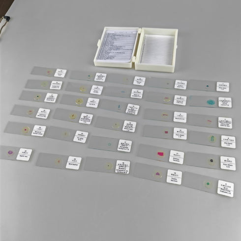 GEEFUNTECH 30 Pcs Microscope Slides Prepared Biology Specimen Lab Sample with Insects Plants Science Learning Home
