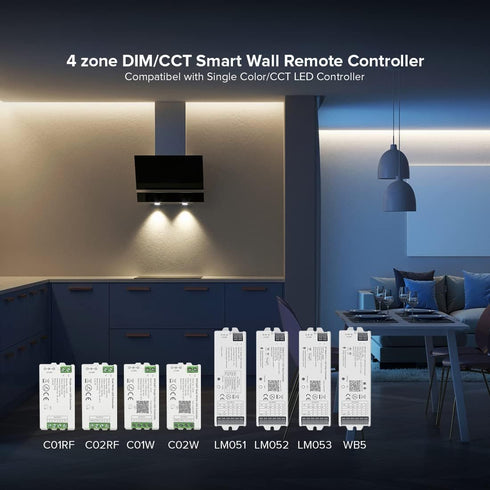 2.4G 4 2XAAA 3V WB5 LM052 LM053 C01RF C02RF C01W C02W BTF-LIGHTING Wireless RF Zone Single Color Wall Mounted Smart