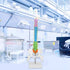 45cm/17.7in Human Spine Model Colored Flexible Scientific Anatomical Human Skeleton Spine Model Anatomy Model Including