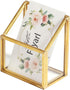Feyarl Gold Glass Vertical Business Card Holder, Clear Name Card Display Stand for Office Meeting Desk