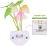 Warmstor 2 Pack Mushroom Night Light Plug-in, Lotus Leaves/Water-Weeds Mushrooms Colors Changing Nightlight Colorful