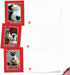 The Best Card Company - 10 All Occasion Blank Cat Cards (4 x 5.12 Inch) - Cute Assorted Bulk Set, Heartfelt Cats