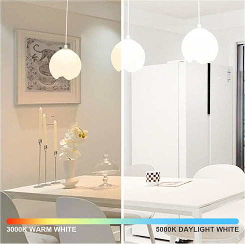LED Light Bulbs, 100W Equivalent, 5000K Daylight, Dimmable A19, 14W, 1500LM, E26 Base, 12 Packs