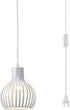 Industrial Plug in Pendant Lighting Metal Wire Cage Hanging Light Fixture with