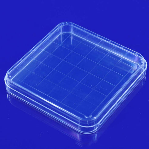 Scicalife 10 Sets Square Petri Dish with Lids, Plastic Material Container for School Lab Science Experiment