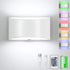 Hirzsjoy Battery Operated Wall Sconce, Wireless Wall Lights with Remote, 16 Colors Dimmable