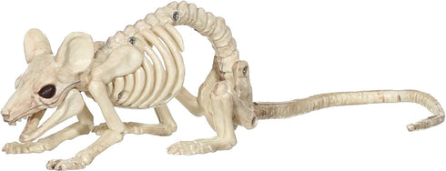MOUSE CRAWLING SKELETON