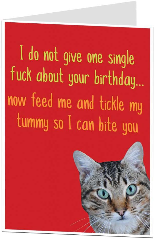 LimaLima Funny Birthday Card - Cat Pet Theme, Rude Offensive, Perfect for Owner Lover Men & Women