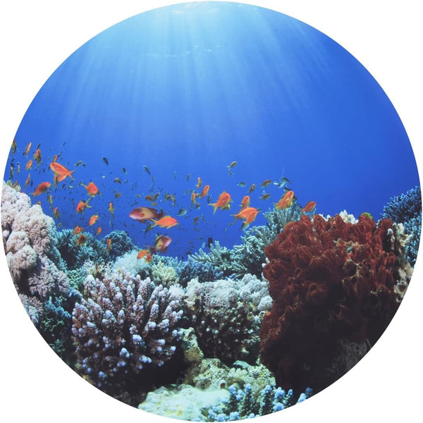 TickiT Under the Sea Discovery Play Mat - Semi-Translucent, Underwater Landscape -