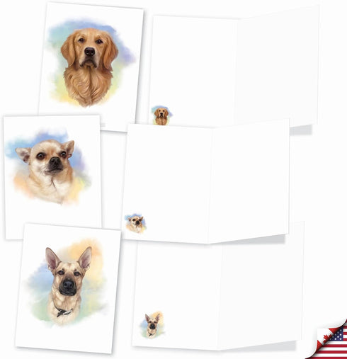 The Best Card Company - 20 Boxed Dog Cards with Envelopes (4 x 5.12 Inch) - Blank Assortment, 10 Designs