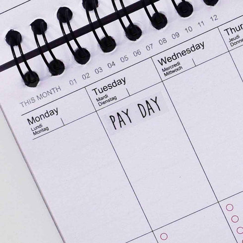 Pay Day Monthly Planner Stickers, 120 Clear Reminder Labels for Calendar Scrapbooking Crafting