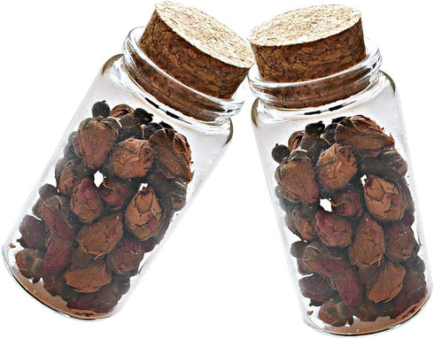 2pcs Empty Clear Glass Bottles, Vials with Cork Stopper, 47mm Bottle Diameter (47x90x33mm 100ml)