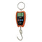 Digital Crane Scale 300kg/660lbs with LED Handheld Mini Hanging Scale for Garage Farm Hunting