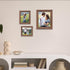 ZBEIVAN Photo Paper, 4x6, 5x7, 8.5x11 inch, Glossy Photo Paper, 150 Sheets for Inkjet Printer
