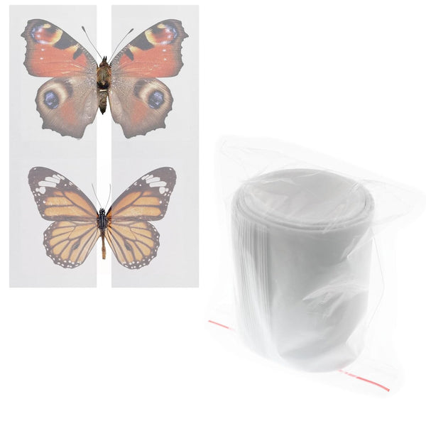 Lind Kitchen 1 Pack 420 x 70mm x 20 Making Insect Specimen Tools Kit