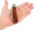 Folding Pocket Knife for Grafting, Stainless Steel Pruning Knife, Multi Cutting Tool, Budding Knife, Weed Bushes