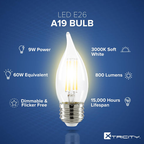 Xtricity 5.5W Flame Tip Clear Filament Chandelier Light Bulbs, 60W Equivalent, 500 Lumens, 2 Pack