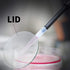 Watch Glass Beaker Cover Set, 6 Pcs Lab Glasses in 150mm, 100mm, 70mm for Science and Chemical Experiments