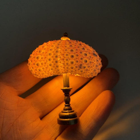 HFLWYWD DIY Sea Urchin Night Light,Portable Sea Urchin Beach Themed Night Light,Sea Urchin Shell Night Lamp, Funny