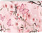 FANCOSAN Pink Floral Butterfly Lampshade Home Decor Fashion Bedroom Bedside Nightstand Lamp Shade