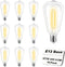 Hobbynors 10-Pack 24V ST38 LED Replacement Bulbs for Outdoor String Lights, Shatterproof Plastic