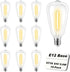Hobbynors 10-Pack 24V ST38 LED Replacement Bulbs for Outdoor String Lights, Shatterproof Plastic