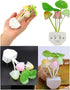 AUSAYE Color Change Led Night Light w/Smart Sensor, Plug-in Night Lights for Kids Adults Cute Mushroom Night Light Lamp