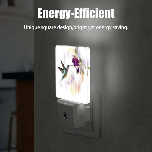 Hummingbird Groovy Flowers Dusk to Dawn Night Light, Auto Sensor Lamp Home Indoor Stairway Kitchen Corridor, Night