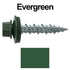 Metal ROOFING SCREWS: (250) 10 x 1" Evergreen Hex Head Sheet Metal Roof Screw with EPDM Washer
