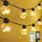 Outdoor String Lights Plug in, 25ft 20 LED Bulbs Hanging Patio Lights