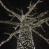 25ft 50 6" IP55, Dimmable, Novelty Lights LED Pure White Christmas Lights Outdoor/Indoor, Spacing, Green Wire String