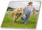 3dRose Prince Edward Island, Avonlea Village, Dairy Farmer -CN09 DBR0158 - Dave