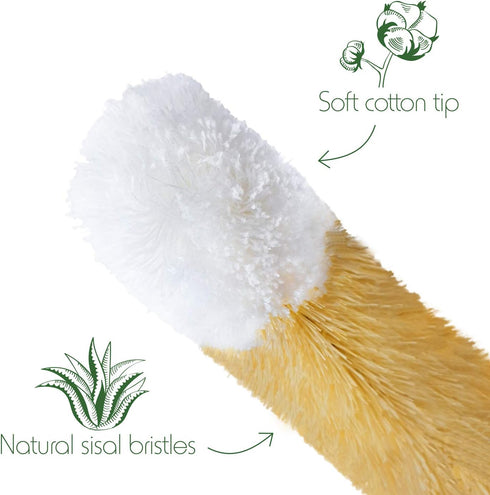 Set 4 Set Bambaw Bottle Cleaner Brush | Cleaning Brushes | Bottle Brush Cleaner | Water Bottle Brush | Bottle Scrubber