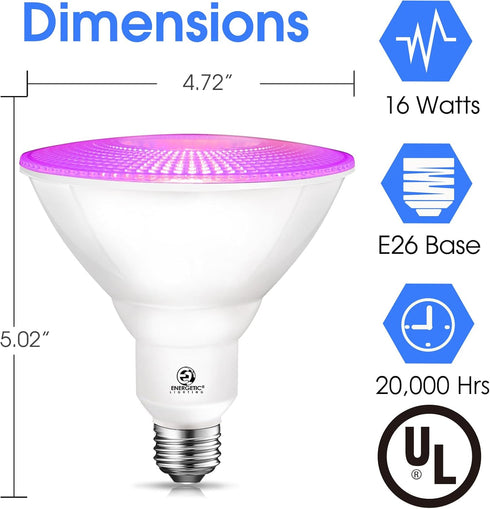 ENERGETIC Purpule Par38 LED Flood Outdoor Light Bulb, 16W (90Watt Equi.), Dimmable, E26 Base, for Christmas Halloween Thanksgiving-Party Decoration, Porch, Home, Holiday Lighting, UL Listed, 2 Pack by E ENERGETIC LIGHTING