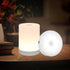 DAZZY DOT Rechargeable Puck Lights 2 Pack, Dimmable Cool WhiteTouch Light Stick