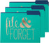 Roobee Gold Brilliant Thoughts - Decorative File Folders (Set of 9)