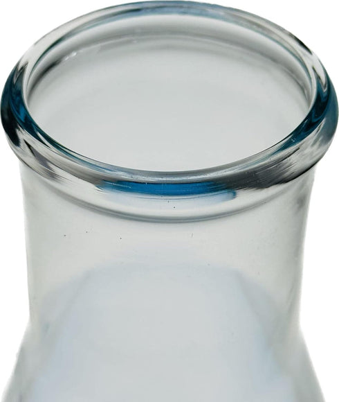 4000ML 1GAL Borosilicate Glass Erlenmeyer Flask, Pack of 1