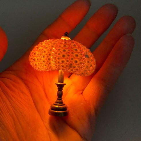 HFLWYWD DIY Sea Urchin Night Light,Portable Sea Urchin Beach Themed Night Light,Sea Urchin Shell Night Lamp, Funny