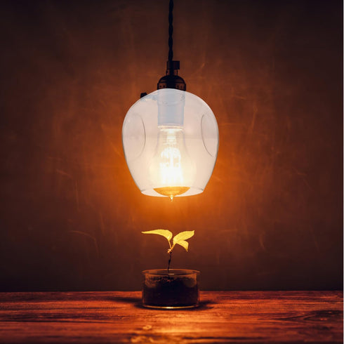 6.10X5.90X5.90In Mikikit Hanging Lamp Shade Glass Pendant Lamp Shade Decorative Replacement Ceiling Cover Light