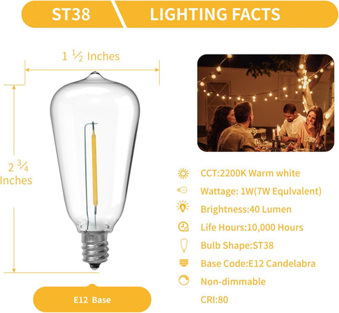 ST38 LED String Light Bulbs, 1.5 Inches Shatterproof LED Replacement Bulbs for Outdoor String Lights, 1Watt Equvanlent to 7Watt Incandescant Bulbs, E12 Screw Base, Warm White, 25Pack by VISTERLITE