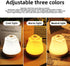 3 Dimmable (1 Pack) Rose Night Light, Brightness Touch Control LED Bedside Lamp, Portable Table Lamp Gift for Men Women