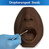 SimCoach Nasal Swab and Throat Swab Test Training Model, Swab Collection Simulator for Practice (Black)