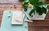 edding 24 EcoLine highlighter - orange - 1 chisel nip 2-5 mm - refillable, recyclable material for marking texts