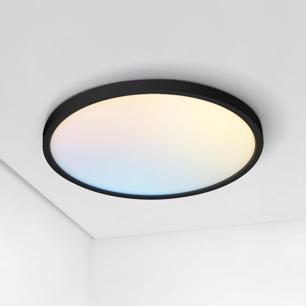 ASD LED 12" Round Flush Mount Ceiling Light Fixture, Low Profile Surface
